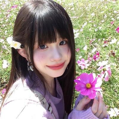 知更鸟